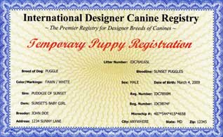 Each puppy in a IDCR registered litter is issued a certificate such as this one.
