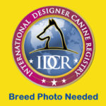 photo_logo