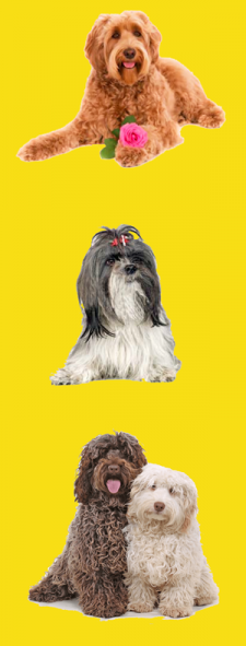 side_banner side_banner