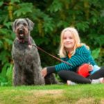Labradoodle