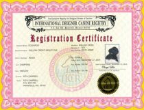 idcr_registration_certificate_photo_300